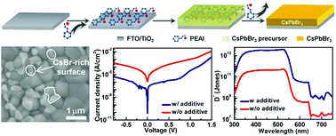 Graphical abstract: Sacrificial additive-assisted film growth endows self-powered CsPbBr3 photodetectors with ultra-low dark current and high sensitivity