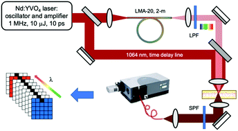 Graphical abstract: Coherent anti-Stokes Raman scattering imaging of microcalcifications associated with breast cancer