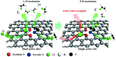 Graphical abstract: Synergistic effect of two action sites on a nitrogen-doped carbon catalyst towards acetylene hydrochlorination