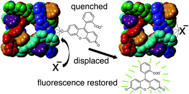 Graphical abstract: Outside the box: quantifying interactions of anions with the exterior surface of a cationic coordination cage