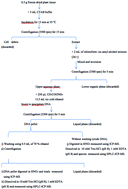 Graphical abstract: Arsenic speciation and its DNA fractionation in the rice plant Oryza sativa