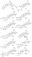 Graphical abstract: An investigation of the antileishmanial properties of semi-synthetic saponins