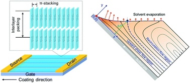 Graphical abstract: Key role of the meniscus shape in crystallization of organic semiconductors during meniscus-guided coating