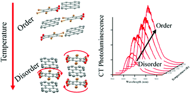 Graphical abstract: Charge transfer excitons in a donor–acceptor amphidynamic crystal: the role of dipole orientational order