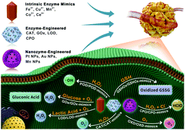 Graphical abstract: Navigating nMOF-mediated enzymatic reactions for catalytic tumor-specific therapy