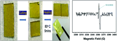 Graphical abstract: Disulfide exchange assisted self-healing epoxy/PDMS/graphene oxide nanocomposites