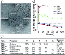 Graphical abstract: Surface vs. core N/S/Se-heteroatom doping of carbon nanodots produces divergent yet consistent optical responses to reactive oxygen species