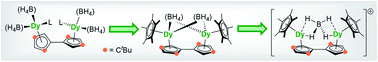 Graphical abstract: Fulvalene as a platform for the synthesis of a dimetallic dysprosocenium single-molecule magnet