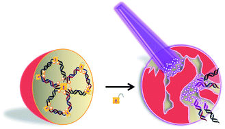 Graphical abstract: Multimerized self-assembled caged two-in-one siRNA nanoparticles for photomodulation of RNAi-induced gene silencing