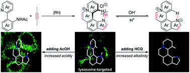 Graphical abstract: Molecular engineering enabling reversible transformation between helical and planar conformations by cyclization of alkynes