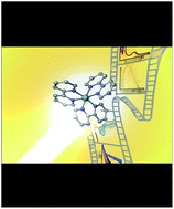 Graphical abstract: Mechanisms of photoredox catalysts: the role of optical spectroscopy