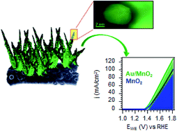 Graphical abstract: Engineering Au/MnO2 hierarchical nanoarchitectures for ethanol electrochemical valorization