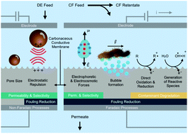 Graphical abstract: Conductive carbonaceous membranes: recent progress and future opportunities