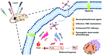 Graphical abstract: Defective transition metal hydroxide-based nanoagents with hypoxia relief for photothermal-enhanced photodynamic therapy