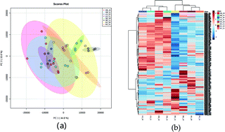 Graphical abstract: UPLC-Q-TOF-MS based metabolomics study of hawthorn leaves in different geographical regions