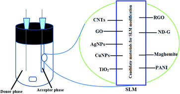 Graphical abstract: An overview on nanostructure-modified supported liquid membranes for the electromembrane extraction method