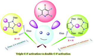 Graphical abstract: Diverse reactivity of carbenes and silylenes towards fluoropyridines