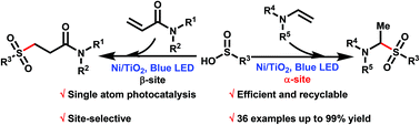 Graphical abstract: Single-atom-nickel photocatalytic site-selective sulfonation of enamides to access amidosulfones