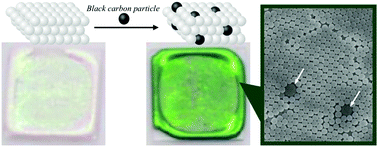 Graphical abstract: Thermally stable high-contrast iridescent structural colours from silica colloidal crystals doped with monodisperse spherical black carbon particles