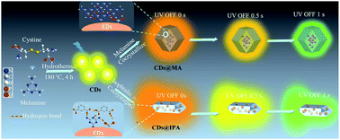 Graphical abstract: A facile co-crystallization approach to fabricate two-component carbon dot composites showing time-dependent evolutive room temperature phosphorescence colors