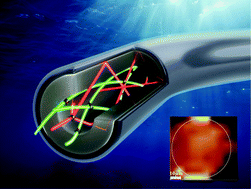 Graphical abstract: Molecular trace detection in liquids using refocusing optical feedback by a silver-coated capillary