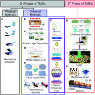 Graphical abstract: The first progress of plasma-based transition metal dichalcogenide synthesis: a stable 1T phase and promising applications