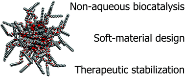 Graphical abstract: Preparation and application of solvent-free liquid proteins with enhanced thermal and anhydrous stabilities