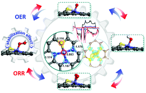 Graphical abstract: New insights into the key bifunctional role of sulfur in Fe–N–C single-atom catalysts for ORR/OER