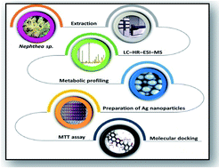 Graphical abstract: Chemical and biological studies on the soft coral Nephthea sp.