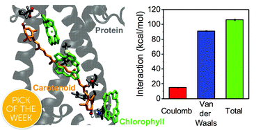 Graphical abstract: Uncovering the interactions driving carotenoid binding in light-harvesting complexes