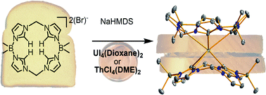 Graphical abstract: Actinide tetra-N-heterocyclic carbene ‘sandwiches’