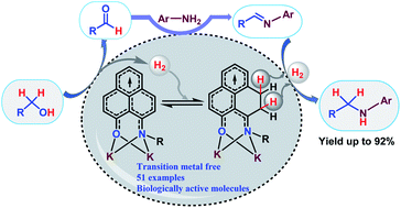 Graphical abstract: Mimicking transition metals in borrowing hydrogen from alcohols