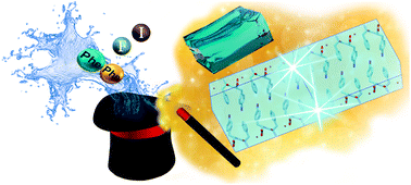 Graphical abstract: Single-atom substitution enables supramolecular diversity from dipeptide building blocks