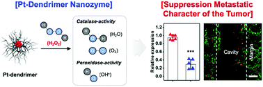 Graphical abstract: A metastasis suppressor Pt-dendrimer nanozyme for the alleviation of glioblastoma