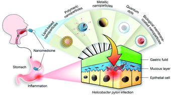 Graphical abstract: Combatting Helicobacter pylori with oral nanomedicines