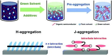 Graphical abstract: Improving the charge transport performance of solution-processed organic field-effect transistors using green solvent additives