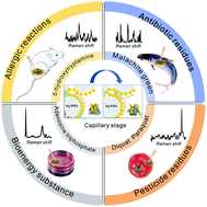 Graphical abstract: Construction of Ag nanowire@Au nanoparticle nano nests with densely stacked small gaps for actively trapping molecules to realize diversity SERS detection