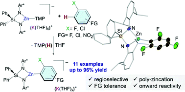 Graphical abstract: Metallation of sensitive fluoroarenes using a potassium TMP-zincate supported by a silyl(bis)amido ligand