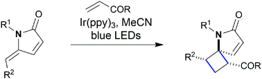 Graphical abstract: Access to high value sp3-rich frameworks using photocatalyzed [2 + 2]-cycloadditions of γ-alkylidene–γ-lactams