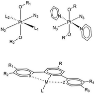 Graphical abstract: New relativistic quantum chemical methods for understanding light-induced therapeutics