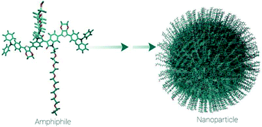 Graphical abstract: Effects of nanoaggregation on isoindigo-based fluorophores for near-infrared bioimaging applications