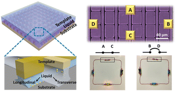 Graphical abstract: Printing nanoparticle-based isotropic/anisotropic networks for directional electrical circuits