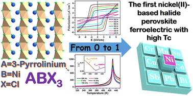 Graphical abstract: A nickel(ii)-based one-dimensional organic–inorganic halide perovskite ferroelectric with the highest Curie temperature