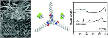 Graphical abstract: Effect of solvent isomers on the gelation properties of tri-aryl amine organogels and their hybrid thermoreversible gels with poly[vinyl chloride]