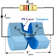 Graphical abstract: Chemiosomotic flow in a soft conical nanopore: harvesting enhanced blue energy