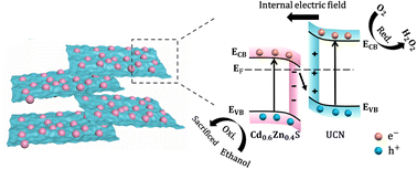 Graphical abstract: Point-to-face Z-scheme junction Cd0.6Zn0.4S/g-C3N4 with a robust internal electric field for high-efficiency H2O2 production