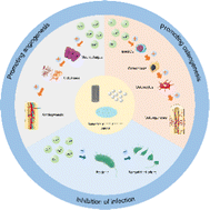 Graphical abstract: Application of bioactive metal ions in the treatment of bone defects