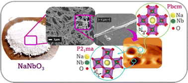 Graphical abstract: On the coexistence of ferroelectric and antiferroelectric polymorphs in NaNbO3 fibers at room temperature