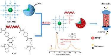 Graphical abstract: Hybridization of helical poly(phenylacetylene)s bearing l-proline tripeptide pendants into porous silica microspheres as a solvent-tolerable chiral stationary phase for liquid chromatography