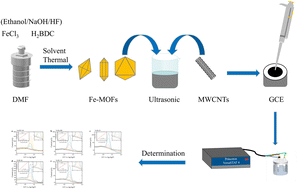 Graphical abstract: A series of ultrasensitive electrocatalysts Fe-MOF/MWCNTs for fentanyl determination